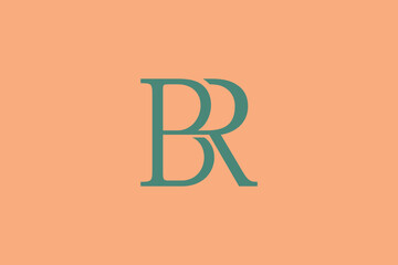 combination letter br logo design premium vector - obrazy, fototapety, plakaty