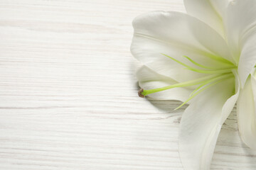 Beautiful lily flower on white wooden table, closeup. Space for text
