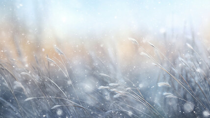 beautiful winter background, blurred snowfall in the field, dry blades of grass covered with snow...
