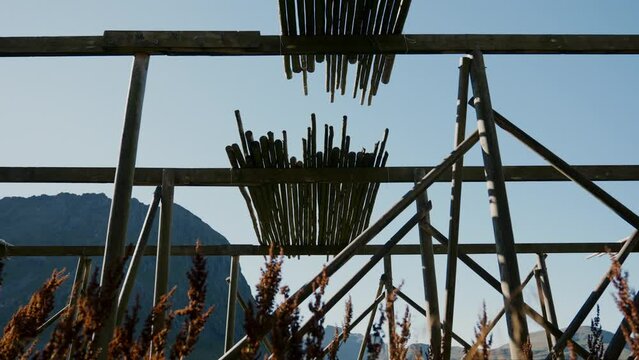 Low-angle View Of The Stockfish Rack