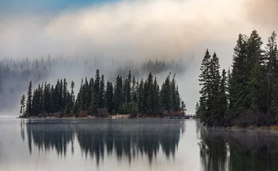 Peel and stick wall murals Forest in fog Pyramid Island in Jasper National Park, Canada 