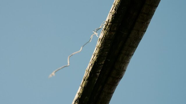 A Suspended Fish String On A Stockfish Rack
