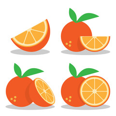 Orange Illustration. Orange Vector. Orange fruit. A set of orange, whole, half, cut slice orange fruit isolated on white background. Vector illustration. All in a single layer.