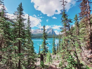 Rocky Mountains, Opabin Prospect, Lake OHara, Yoho