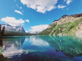Rocky Mountains, Opabin Prospect, Lake OHara, Yoho