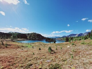 Twin Cairns Meadows, Banff, Rocky Mountains