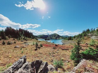 Twin Cairns Meadows, Banff, Rocky Mountains