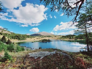 Twin Cairns Meadows, Banff, Rocky Mountains