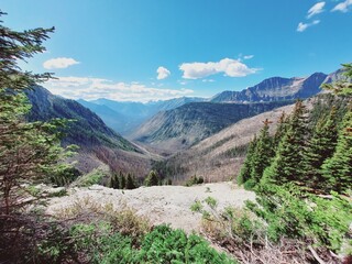 Twin Cairns Meadows, Banff, Rocky Mountains