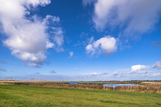 Scenery on the Darß peninsula, Baltic Sea, Germany