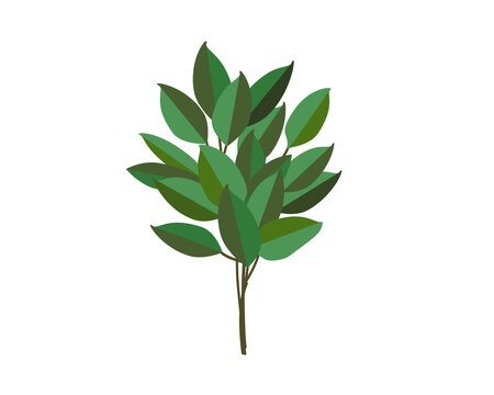 シンプルな榊のイラスト