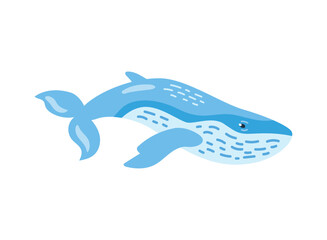 humpback sealife blue