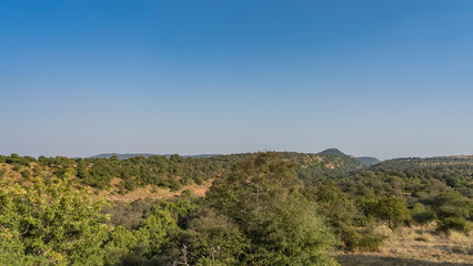 Fototapeta na wymiar A landscape of endless jungles illuminated by the sun. Thickets of trees in the foreground, mountains in the distance. Clear blue sky. Copy space. India. Ranthambore National Park.