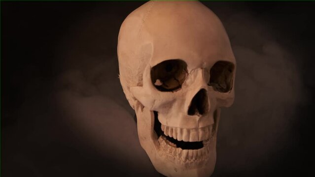 Skull in smoke spinning on black isolated studio background. Skeletal system and human anatomy. White human skull from different angles. 