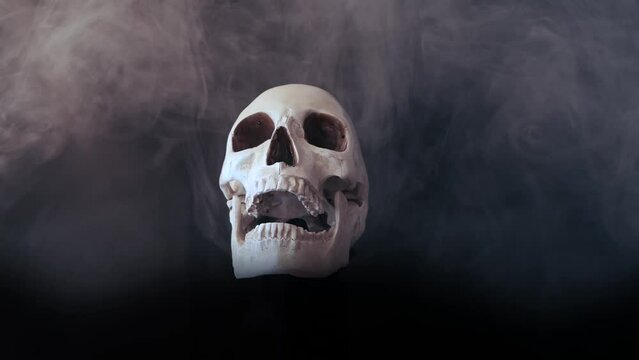 Spooky scene terrifying human skull rotating in creeping smoke on black background close up, Halloween eve. Anatomical body structure.