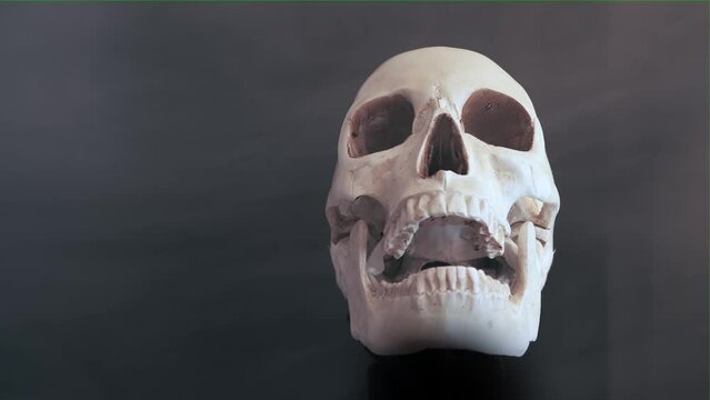 In cold fog, a white human skull rotates creepily with its jaws open in the dark on a black background. Halloween spooky scene. Skeletal system and human anatomy.