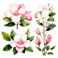 Set of vector pink flowers gardenias