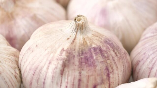 the garlic head rotates