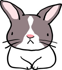 Cute Cartoon Rabbit Head Character