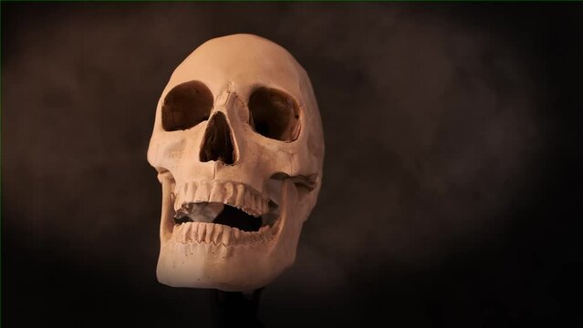 Scary human skull rotating in flowing smoke on black background. Concept of death and horror.   Figurine of human skeleton head skull spin. 