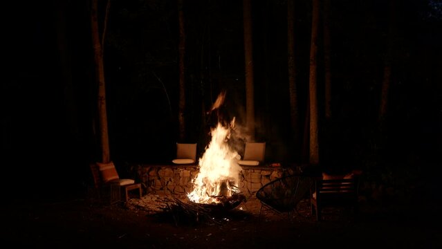 Campfire burning at night around trees