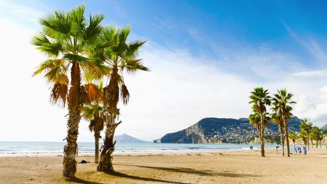 Beautiful beach with palm tree.. Mountain Penyal d'Ifach. Calpe beach, Spain.