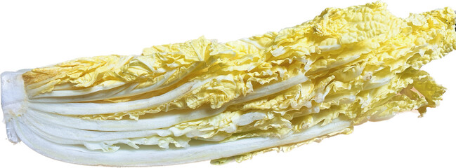 白菜　Chinese cabbage