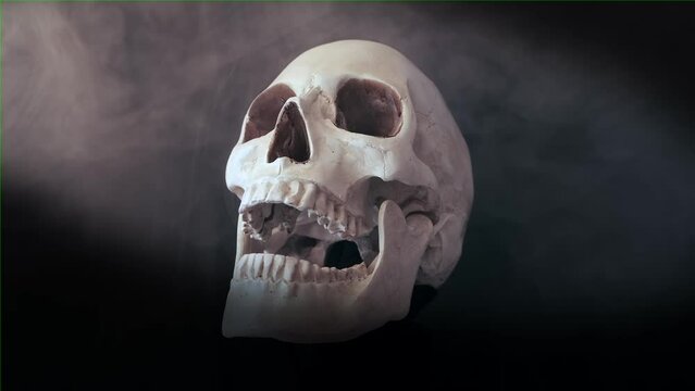 Quickly rotating creepy dead human skull on a black background, skeleton head looking with empty eye sockets at the moonlight in the fog around. Symbolism and occultism.
