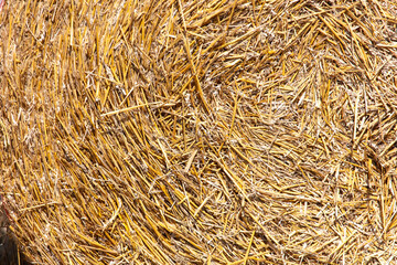 Dry hay as an abstract background. Texture