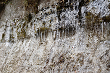 岩に氷る氷柱