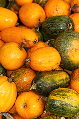 Many yellow and green pumpkins are piled up in autumn. - 667472551