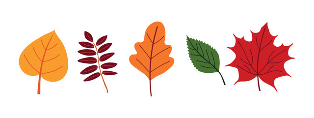 Fototapeta premium Set of illustrations of colorful autumn leaves.