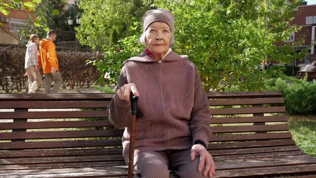 Portrait of an octogenarian grandmother with a wooden cane in the park on a bench in autumn. Stable image. An old tired grandmother is resting on a bench in warm autumn weather.