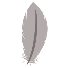 Flat Style Feather
