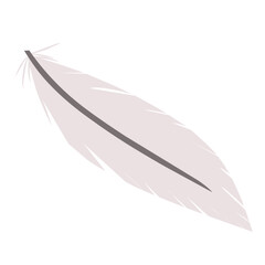 Flat Style Feather
