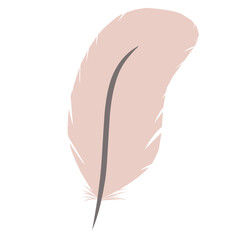 Flat Style Feather
