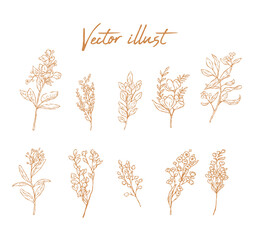 Floral branches of different types flower, hand drawn wedding herb, Botanical rustic, vector