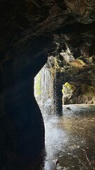 Hidden Gem: The Waterfall Cave at Singapore Botanic Garden