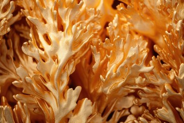 Gold color corals background