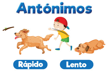 Spanish Language Education: Fast and Slow