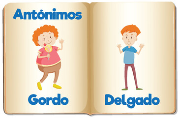 Education Antonyms: Gordo and Delgado in Spanish Language fat and thin