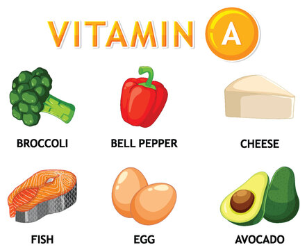 Healthy Foods Containing Vitamin A for a Balanced Diet
