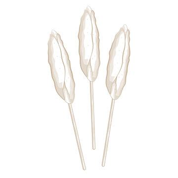 illustration logo Simple Line art egg roll or Telur Gulung