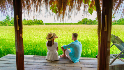 Bamboo hut homestay farm with Green rice paddy fields in Central Thailand Suphanburi region, couple...