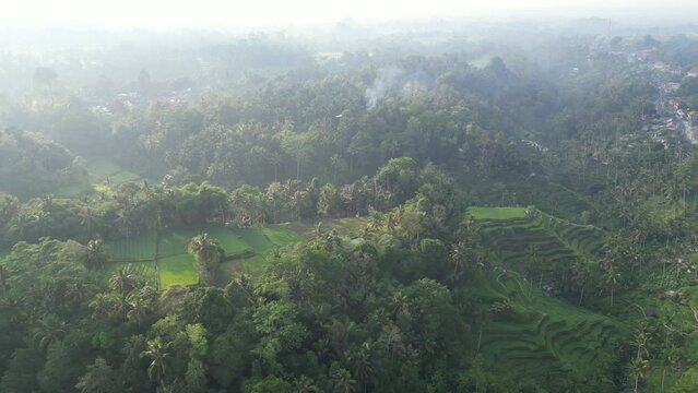 Aerial view of beautiful Tegallalang Rice Terrace surrounded by tropical forest in Gianyar, Bali, Indonesia. Balinese Rural scene, paddy terrace garden in a village with morning sunlight and mist.