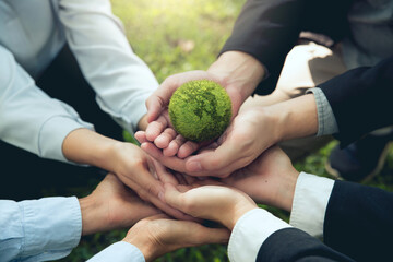 Corporate social responsibility CSR.World Environment Day. business hands holding the green world for the Sustainable Development Goals. Responsibility for the environment. Save and protect the world. - obrazy, fototapety, plakaty