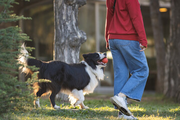 Man walking in the park with dog on leash