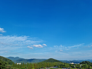
It is a park with blue skies and forests.