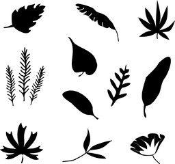 Fototapeta premium Set of black doodle silhouettes of tropical leaves palm, trees. Vector illustration