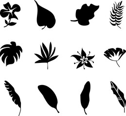 Set of black doodle silhouettes of tropical leaves palm, trees. Vector illustration